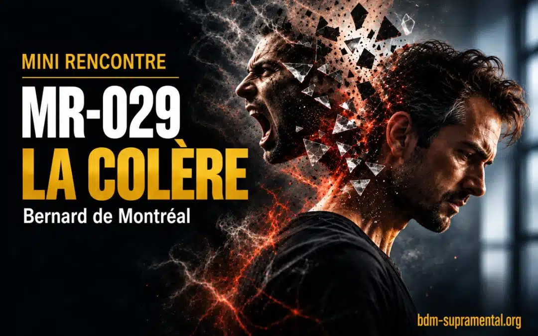 MR-029 : La colère