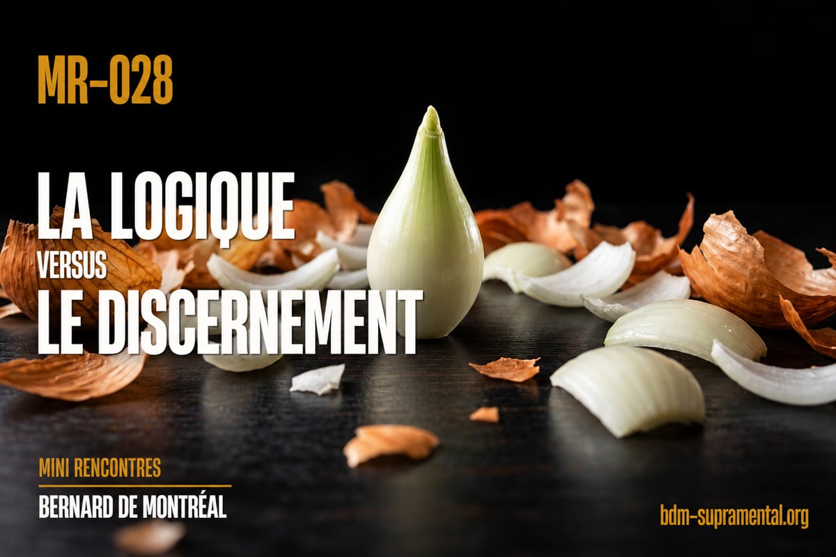 Gros plan en studio sur le cœur intime et fuselé d'un oignon dépouillé de toutes ses couches et pelures étalées sur fond noir — MR-028 La logique vs le discernement, Bernard de Montréal.